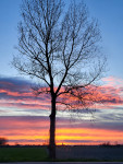 Ondergaande zon