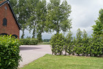 vernieuwde erf