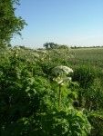 doorkijkje op bouwland