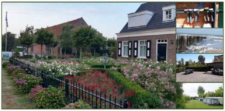 Afbeelding invoegen